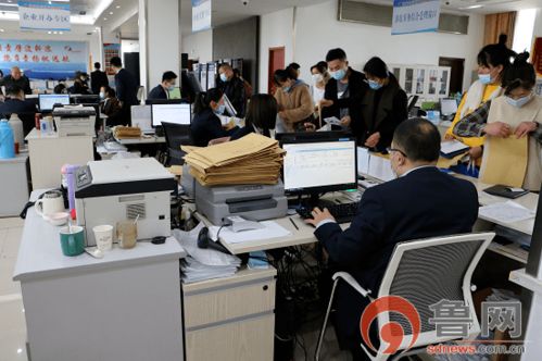 临沂市郯城县行政审批服务局积极开展教师资格认定工作 优化教育咨询服务